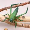 17Cm Realistic Insect Animal Model Toys Ant Spider Scorpion Beetle Dragonfly Simulation Figures For Kid Educational Learning Toy