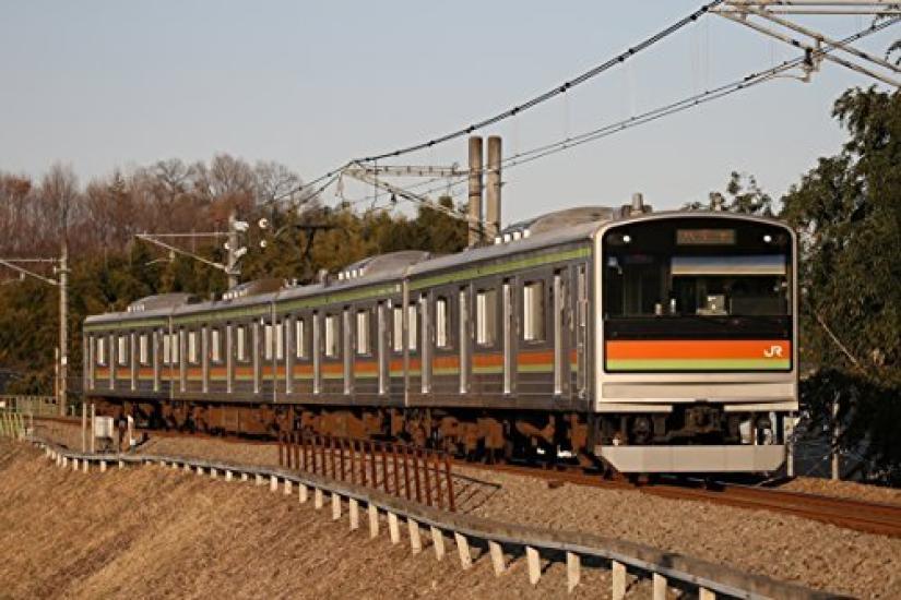 Railway Collection Railway Collection JR205 series 3000th generation Kawagoe Line set Diorama supplies first order limited Line/Hachiko 4-car