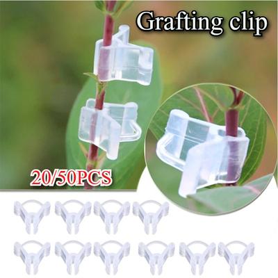 100 PCS Clips de Greffage de Plantes Mini Plastique Légumes Fruits Plante Vigne Liens Pinces Fruits Supports de Semis Connecteur Clips de Fixation