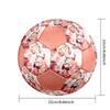 1PC Haaland Talent Size 5 Soccer Ball PrahaIndoor Soccer Ball Colorful All Ages Machine Stitched PVC Competition Ready Durable High-Bounce
