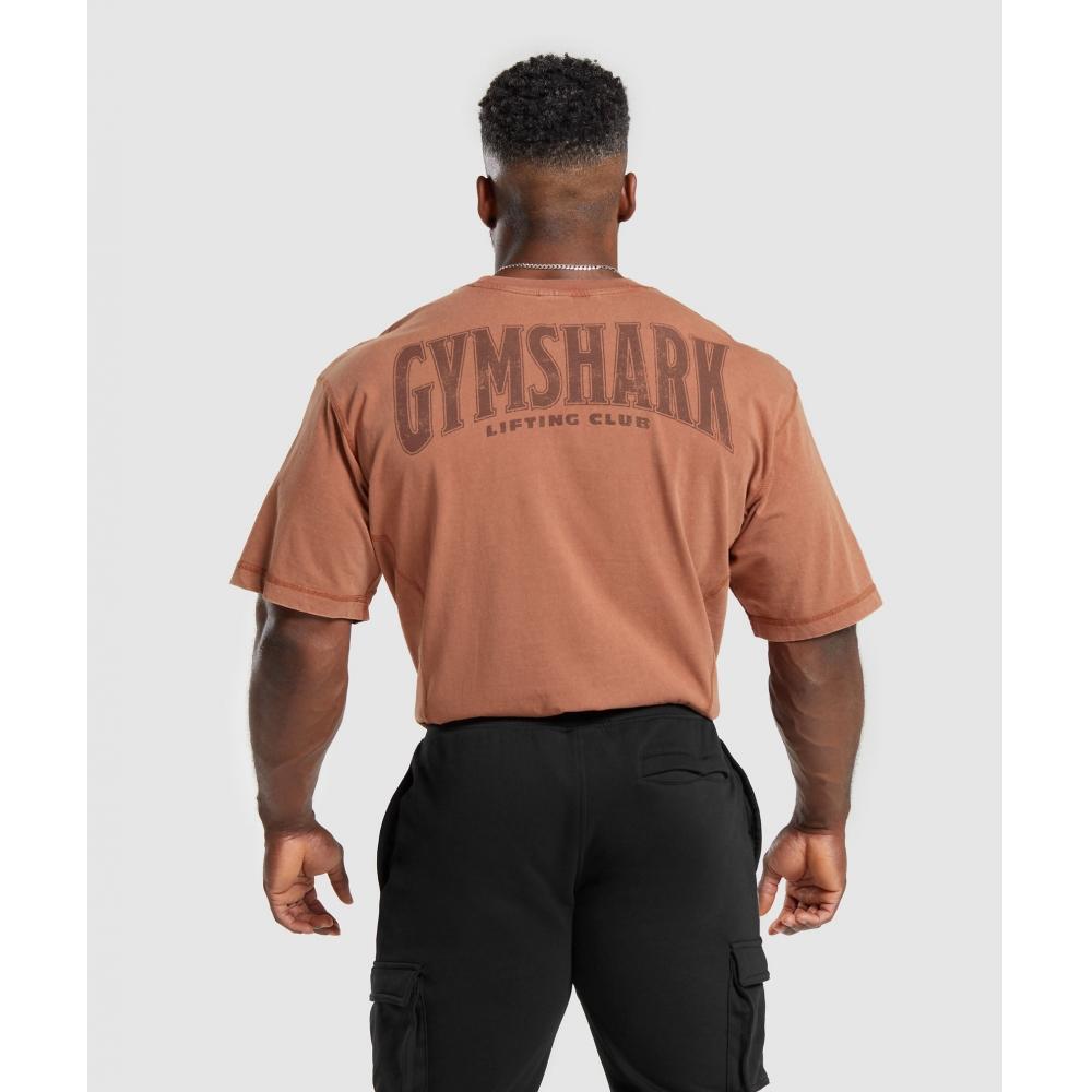 

GYMSHARK Heritage Стираная футболка Canyon Brown A4A9H NCC0 S