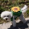Pet New Bag Pet Going Out To Walk the Dog Snack Bag Dog Bag Dog Self-backpack Can Be Hung with a Leash