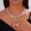 Shiny Jewelry Set - Exclusive High-end Necklaces with Luxurious Style.