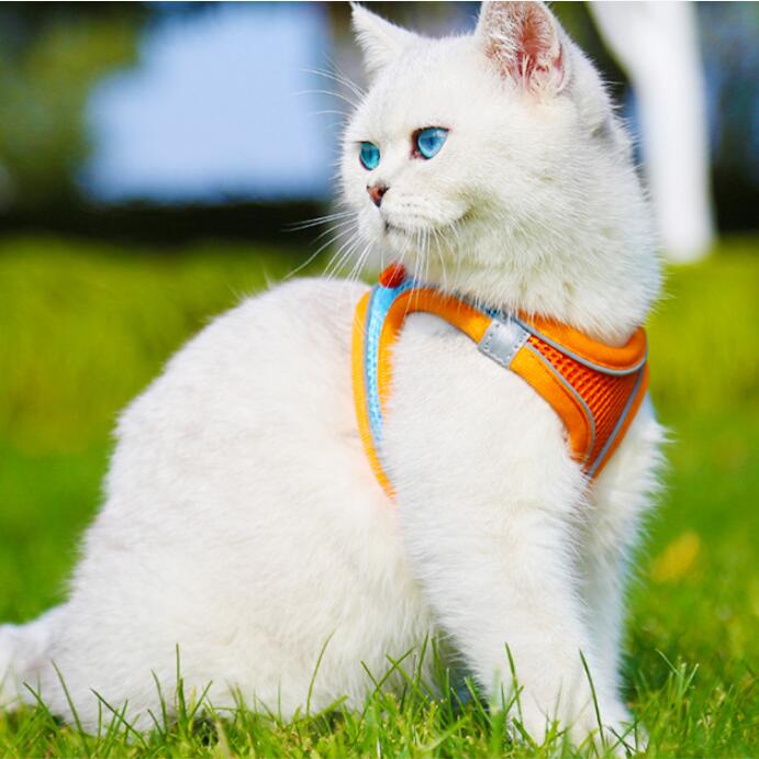 Reflective Pet Harness Dogs Strap with Leash Adjustable Harness Vest Breathable Collars for Chihuahua Small Large Dogs