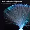 Luminous LED Fiber Optic Lamp Creative Atmosphere Lamp Starry Sky Light  Holiday Camping