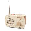 Wissenschaft und Technologie Kleine Produktion Kinder Lernspielzeug DIY Radio Student Selbstgemachtes handgemachtes Modell Wissenschaftliches Experiment