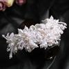 Glinting Pearls Hair Jewelry Queen Jewelry Hairband for Pageants Proms Bridal Wedding Bridal Wedding Headwear