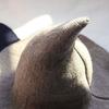 Women Witch Hat Wizard Hat Halloween Witch Pointed Hat Knitted Wool Cap Adult