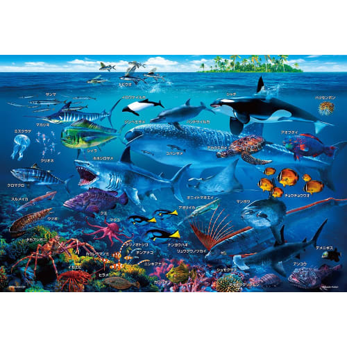 BEVERLY [Made In Japan] BEVERLY 100 Piece Jigsaw Puzzle Let's Learn About Sea Life  (26ÁE8cm) 100-029