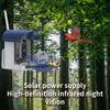 Solar-Powered Hummingbird Feeder with Camera & Remote Control