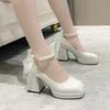 NEW Spring Autumn Woman’s Shoes Mary Jane High Heels Chunky Pumps Sweet Square Head Elegant Shoes for Female