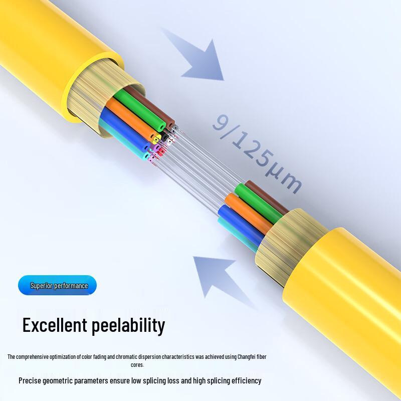 Dasheng Light Telecom-Grade Single-Mode Fiber Optic Pigtail