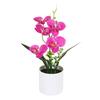 Plastic Bonsai Desktop Ornament Artificial Flower No-fading Butterfly Orchid Multicolor White Flowerpot Fake Butterfly Flower