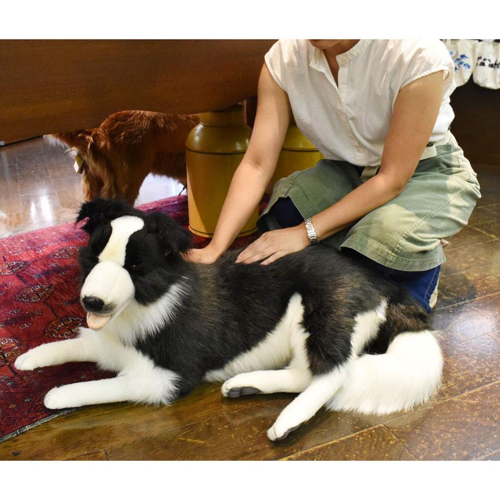 HANSA Border kolie 84.99x40.01x32 cm Akryl č.4564