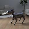 Remote Control Robot Dog Toy Mist Spray Interactive Electric Dog Toy Toddlers Boys Girls Walking Mechanical Puppy Toy
