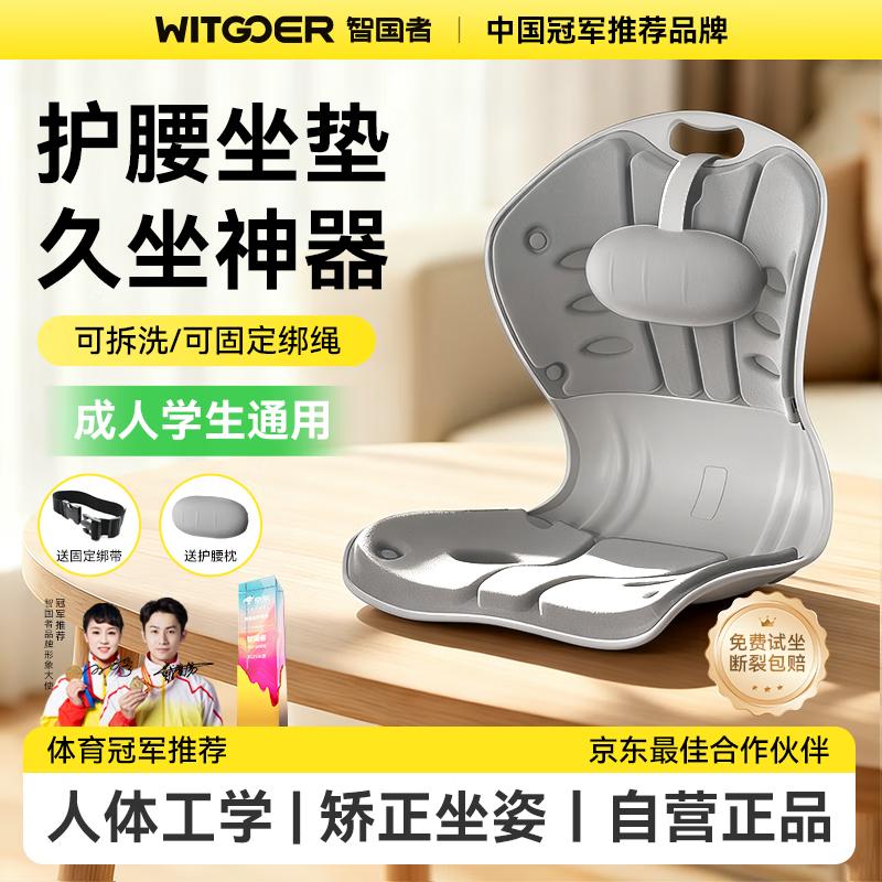WITGOER Lumbar Support Cushion, Posture Corrector for Long Sitting, Ergonomic Chair Backrest, Nursing Position Support