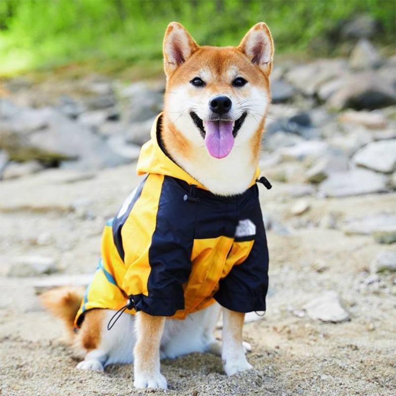 

Dog new Shiba Inu clothes trendy jacket pet medium dog windproof going out breathable hooded handsome corgi 3XL (reference weight 25-15 kg)