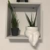 Hydroponic Vase Ass Vase Ceramic Flower Pots Body Art Bust Ceramic Flower Pot Vase Plant Pot Fleshy Flower Vase Home Decoration