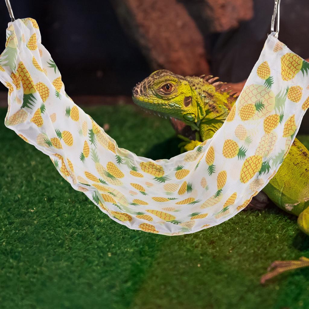 Pet Lizard Hammock Soft Breathable Reptile Hanging Bed For Bearded Dragon Gecko Suction Cup Mount Durable Washable Climbing