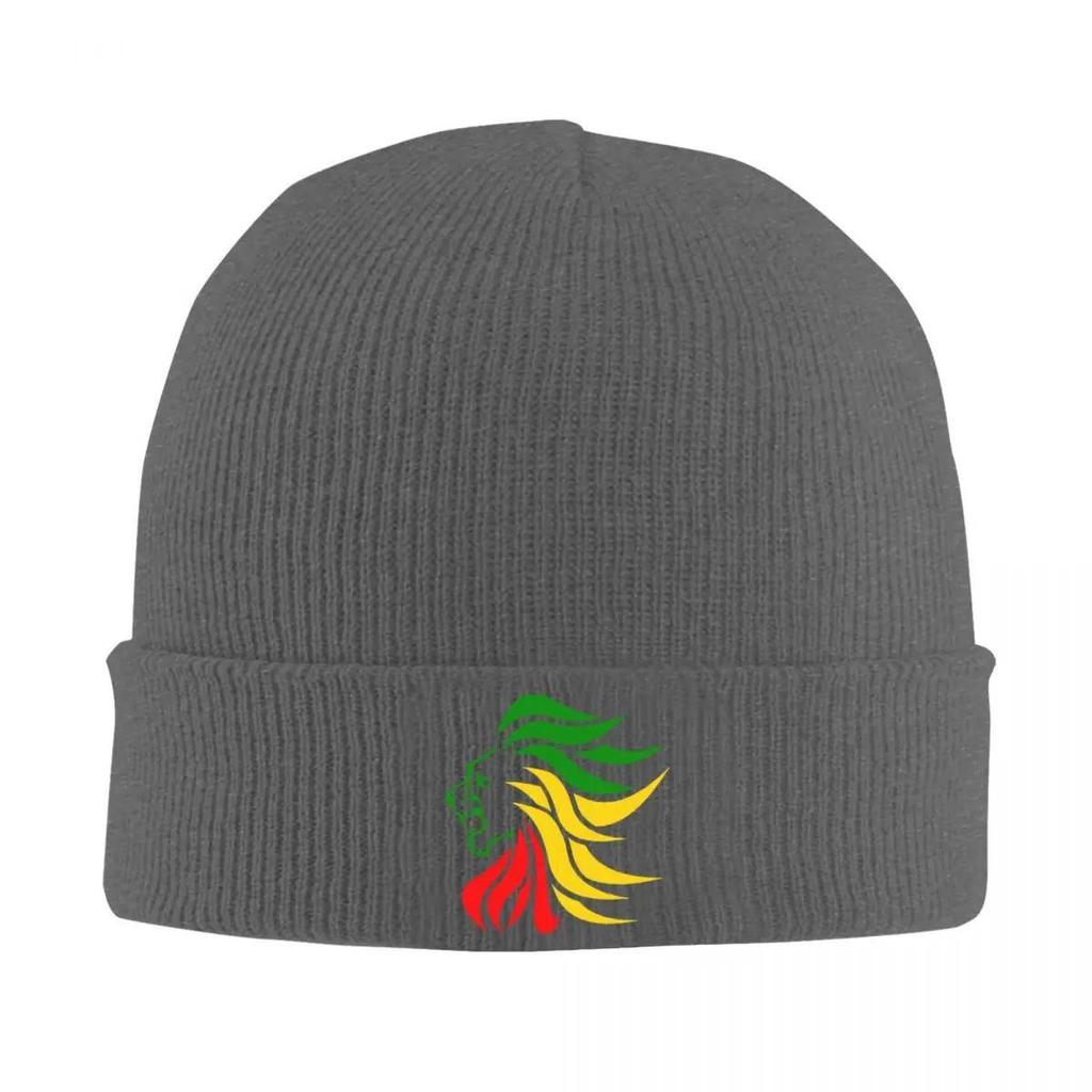 Rasta Lion Rastafari Jamaica Judah Knitted Caps Women's Men's Skullies Beanies Winter Hats Acrylic Hip Hop Cap