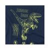 JURASSIC PARK Childrens/Kids Roar Ringspun Cotton T-Shirt