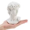 6 Inch Classic Roman Style Resin Bust, David Head Sculpture Figurine for Home and Office Art Decoration