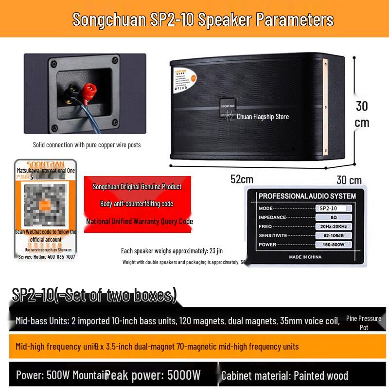 Songchuan International SP2 Professional Karaoke & Conference Audio System CN plug (adapter included)