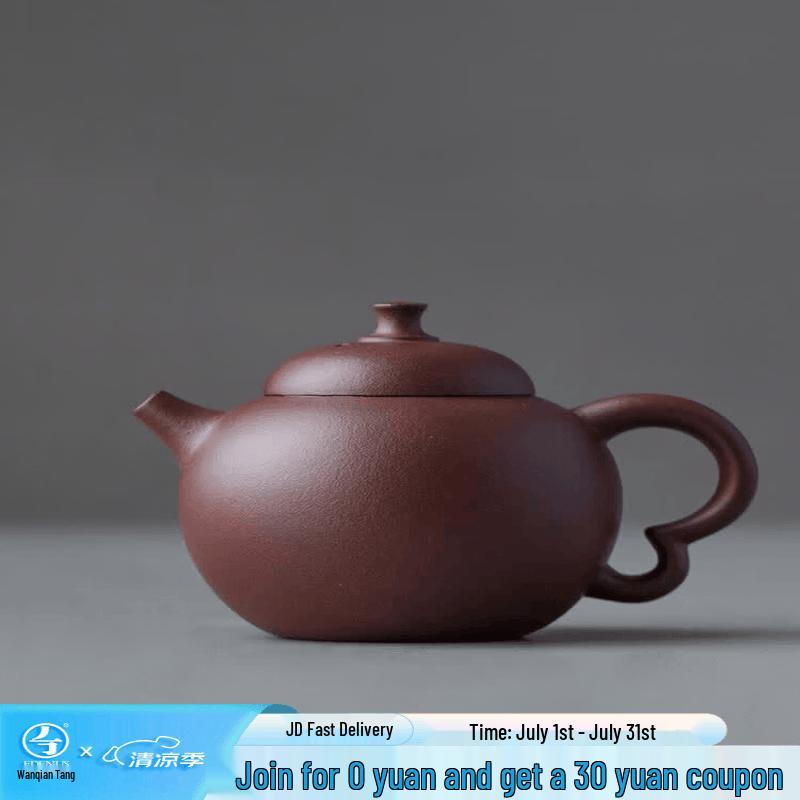 Edenus Yixing Purple Clay Teapot