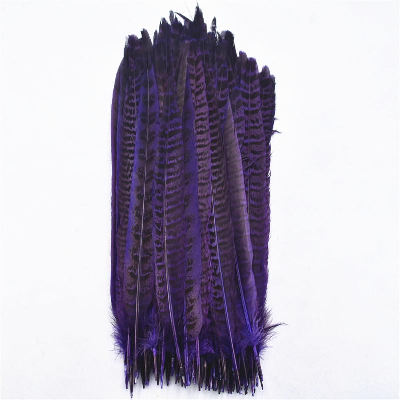 10Pcs Pheasant Tail Feathers Table Decoration Crafts Supplies Plumas DIY Dream Catcher for Wedding Carnival Accessories Material