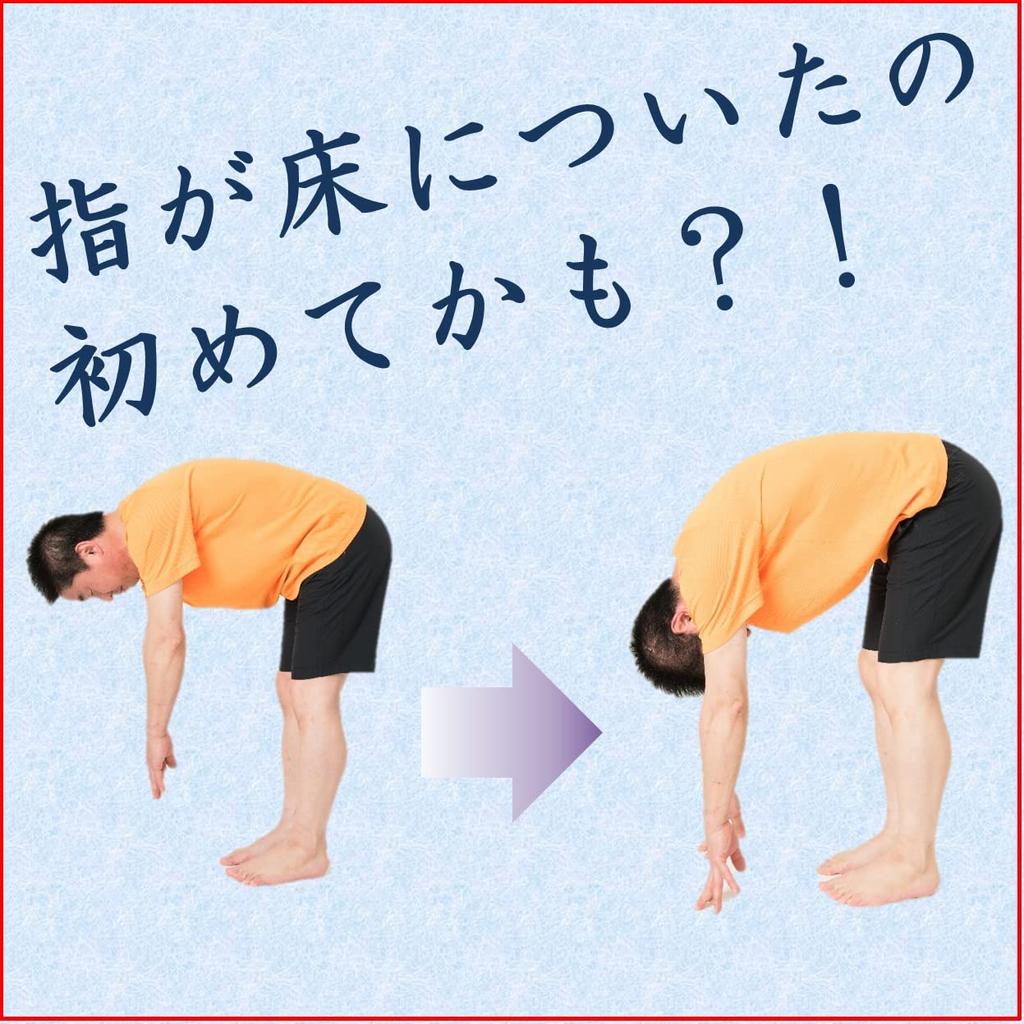 Villabody Massage Ball (black)