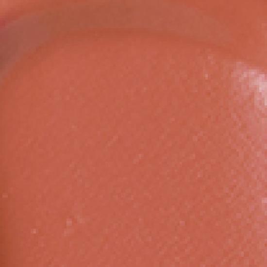 

Nature Republic Light On Velvet Tint 3.3g (10 shades) 10 Mood Papaya