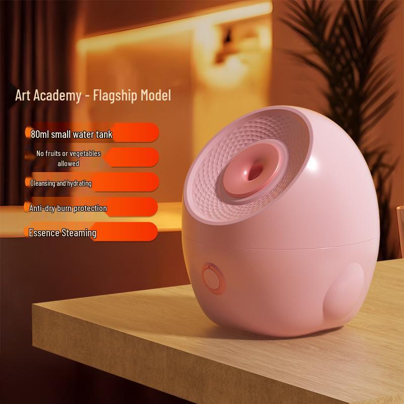 Portable Nano Spray Face Steamer & Humidifier