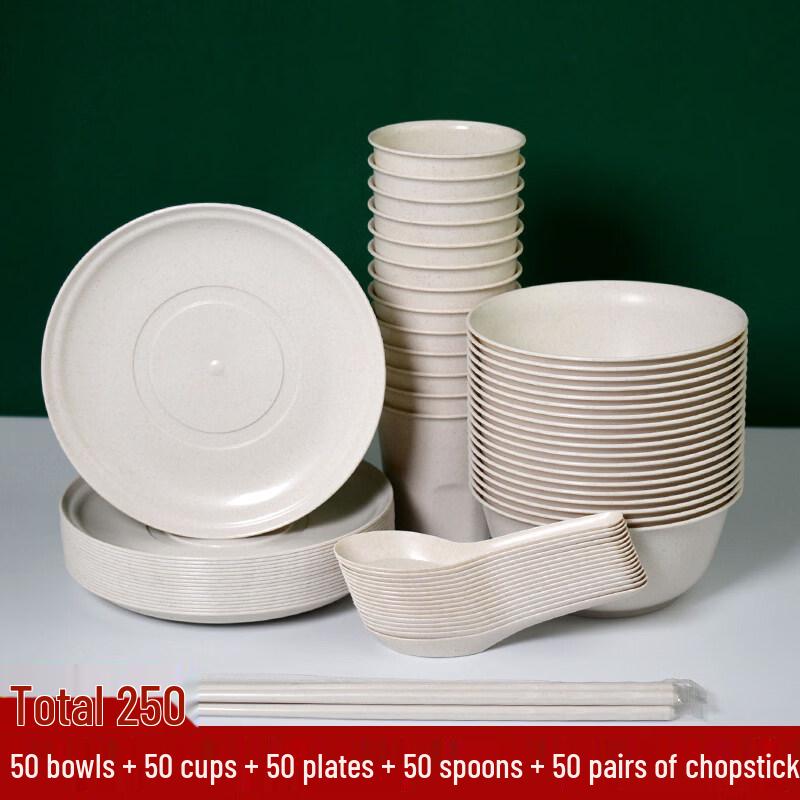 ZISIZ Disposable Outdoor Dinnerware Set