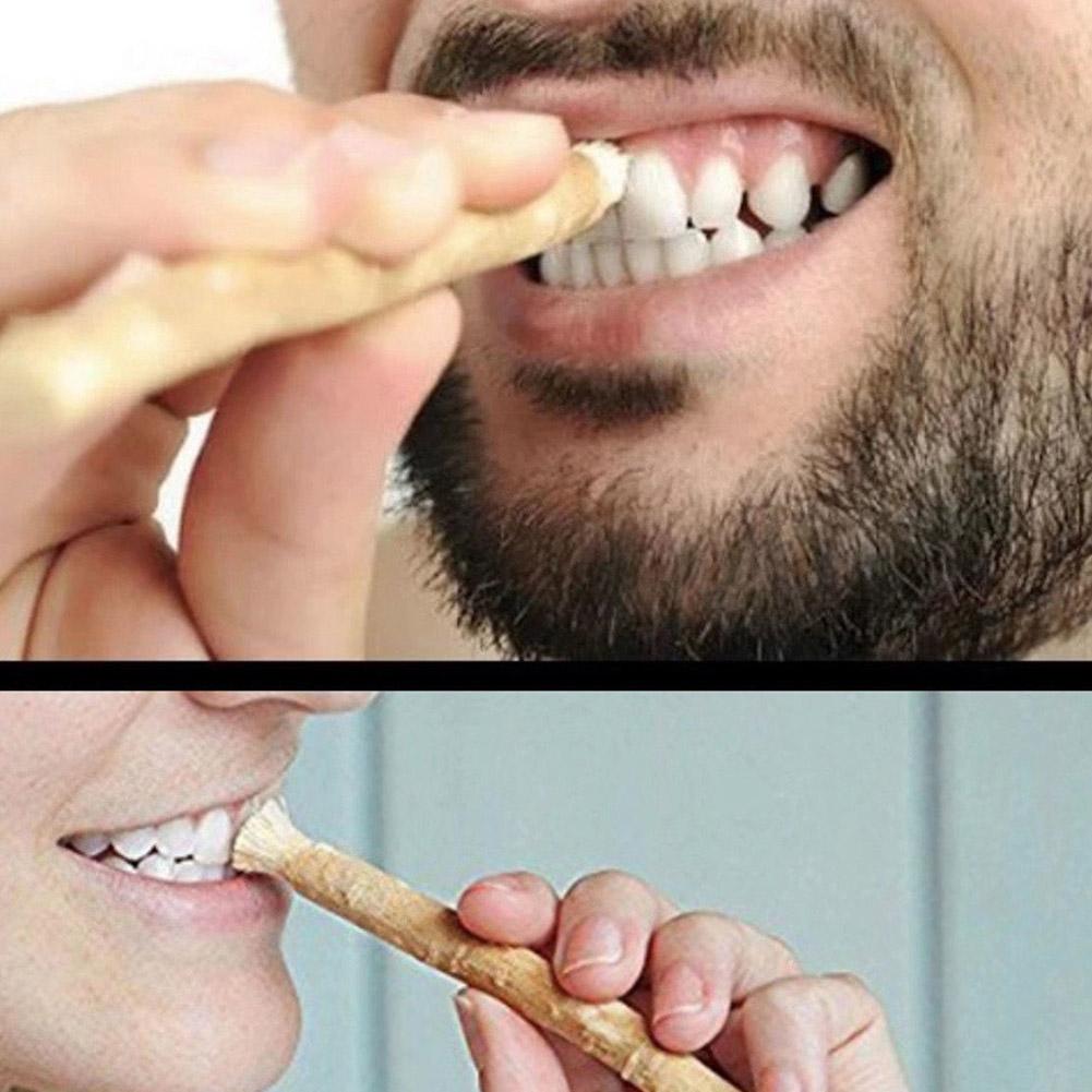 Natural Miswak Siwak Toothbrush Traditional Manual Teeth Whitener Soft Travel Middle Eastern Oral Care Tool Daily Use
