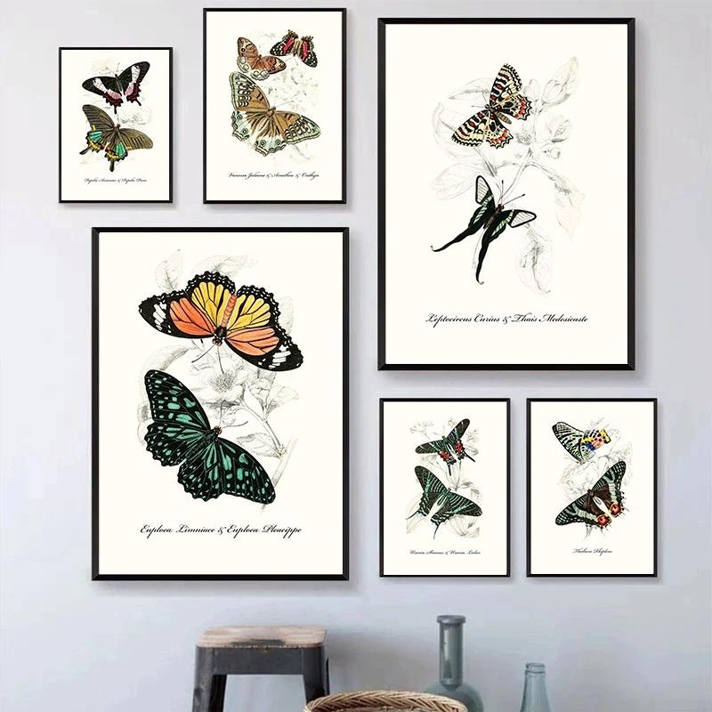 Vintage Butterflies poster Vintage Dead Leaf Butterfly Specimen Minimalist Wall Print Canvas Posters for Home Decor