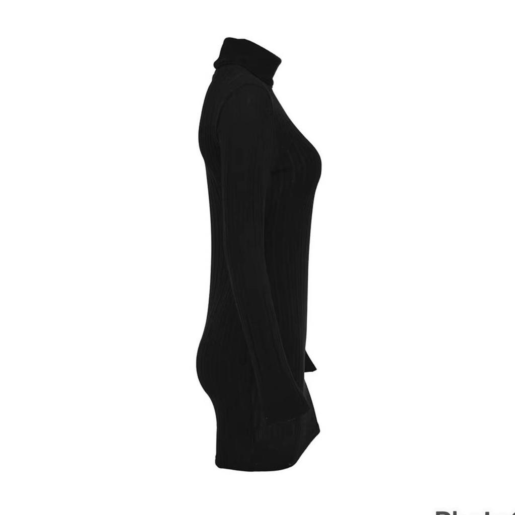 Sexy Mini Dress Women Autumn Solid Turtleneck Long Sleeve Sheath Dress Clubwear Partywear Elegant Bodycon Female