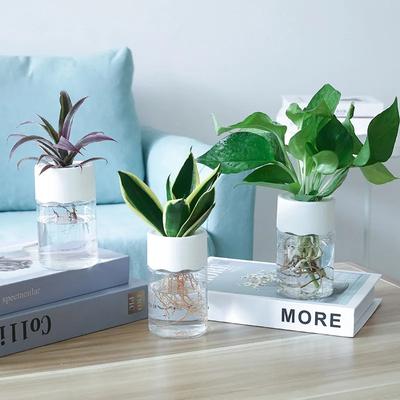 Plastic Pot for Plants Stylish Hydroponic Pot Water Planting Vase Container Aquaponic Planter Home Desk Officer