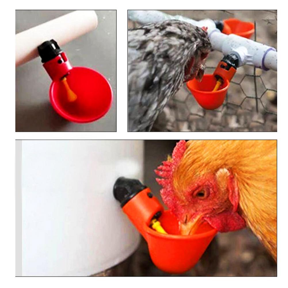 20pcs//set Water Bowls Plastic Automatic Feeder Drinking Cup For Chicken Quails