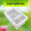 Reptile and Insect Transport & Breeding Box for Turtles, Lizards, Hermit Crabs, & Beetles.