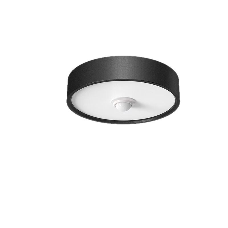 OEING Motion Sensor LED Ceiling Light