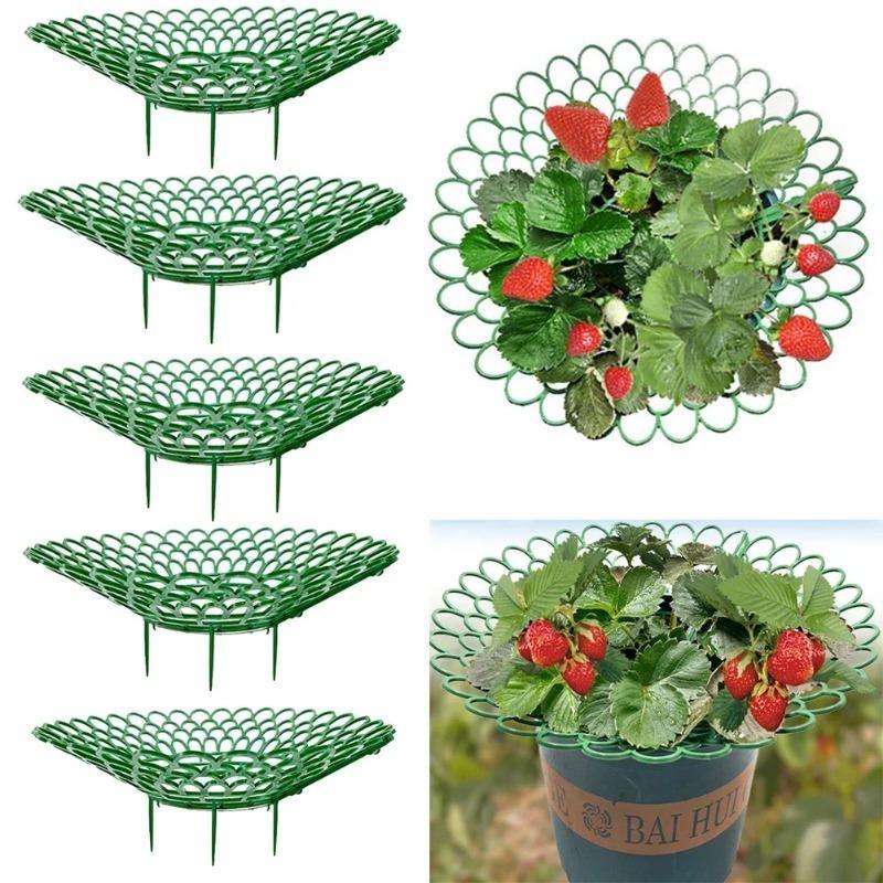 2/5/10Pcs Strawberry Support Stands with 3 Sturdy Legs Strawberry Growing Racks Berries Growing Frame Holder for Garden Homegrow