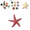 Modelli Autentici di Animali Stella Marina Per Bambini Giocattoli Educativi da Spiaggia Set Colorato in PVC