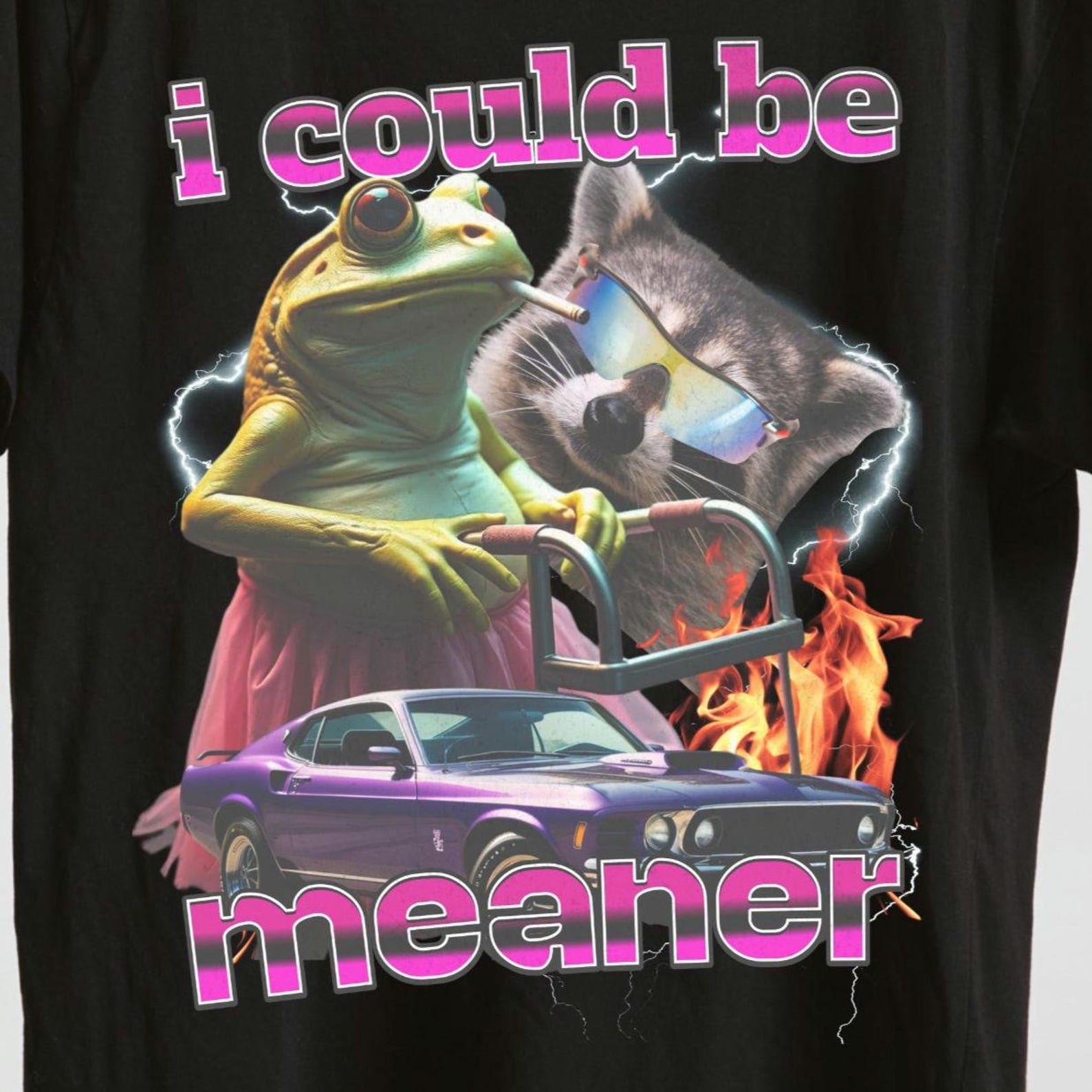 I Could Be Meaner T-Shirt: Funny Frog Meme Sarcastic Humor M