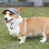 INS Adjustable Dog Baseball Cap Breathable Soft Dog Parent-Child Hat with Ear Holes Pet Sun Hat Hiking with Ear Holes