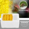 Foam Hive Bees Mating Box Beekeeping Tool Sturdy Accessories Professional Practical Foam Bees Breeding Box Development