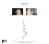 (LP Vinyl) RM (BTS) [Right Place, Wrong Person] 2nd Full Album