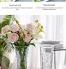 Extra Large Transparent Glass Vase for Hydroponic Bamboo & Fresh Flower Arrangements