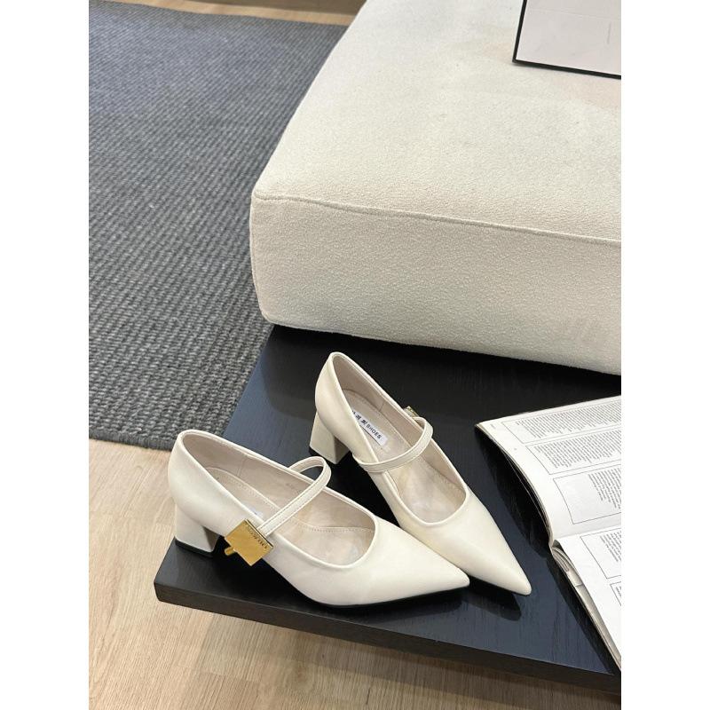 2025 spring and autumn new fashion versatile French thick heel gentle wind Mary Jane small leather shoes women's shoes pointed