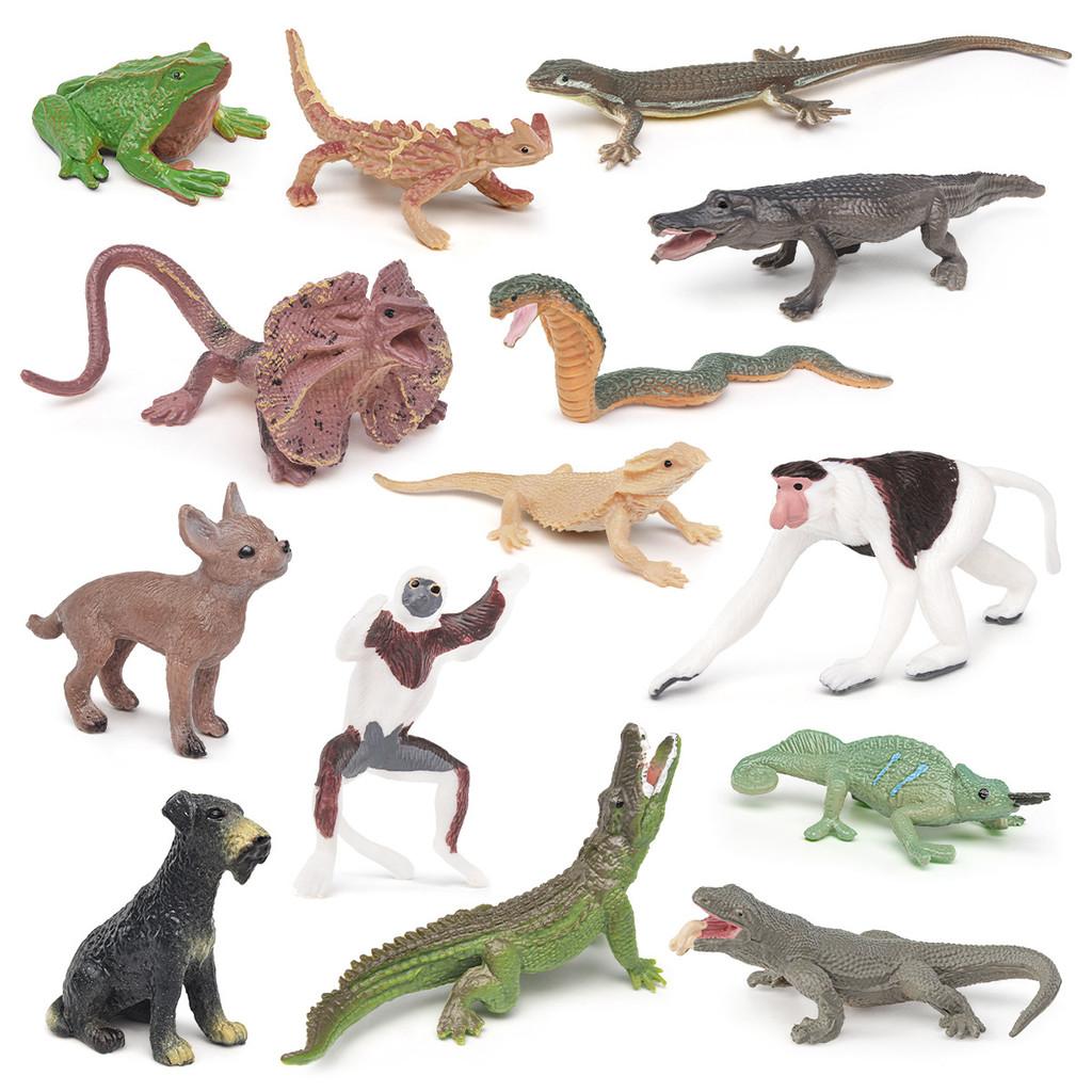 Realistic Animal Pvc Model Collection For Kids Educational And Decorative Use