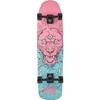 Skate Cruiser RAYNE Street Panther 34